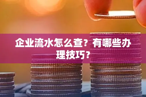 企业流水怎么查？有哪些办理技巧？