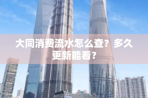 大同消费流水怎么查？多久更新能看？